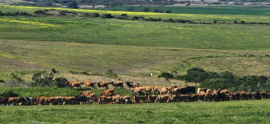 8 Bedroom Property for Sale in Mossel Bay Rural Western Cape